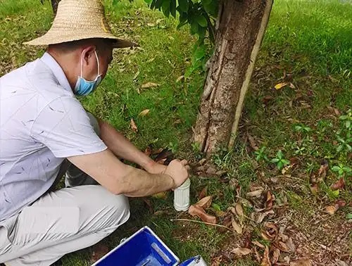 家庭灭鼠小妙招