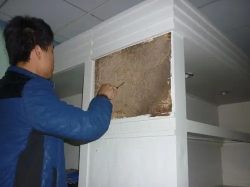 怎样知道自己家里有没有白蚁？
