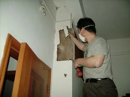 查找白蚁的方法