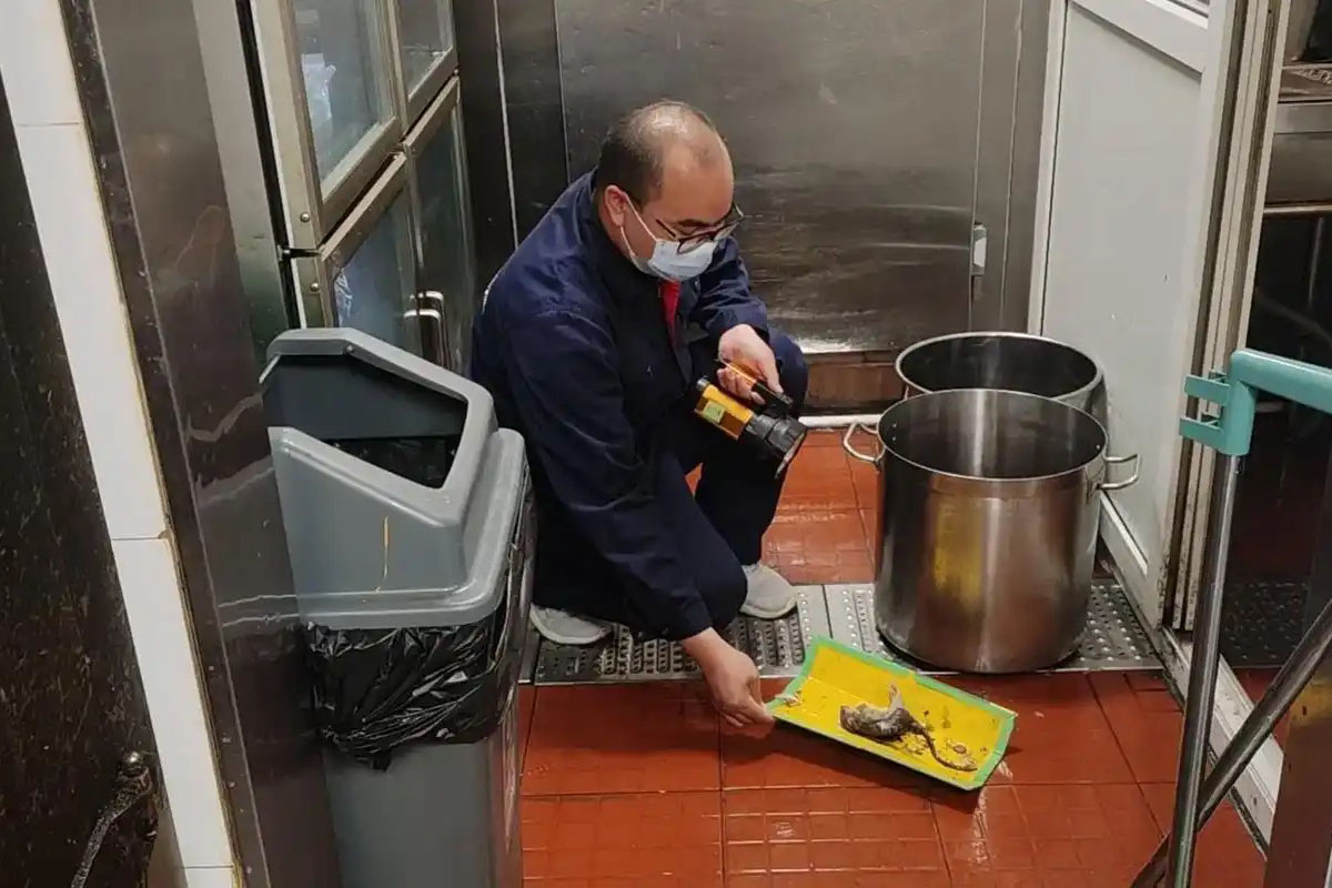 蟑螂对健康的危害
